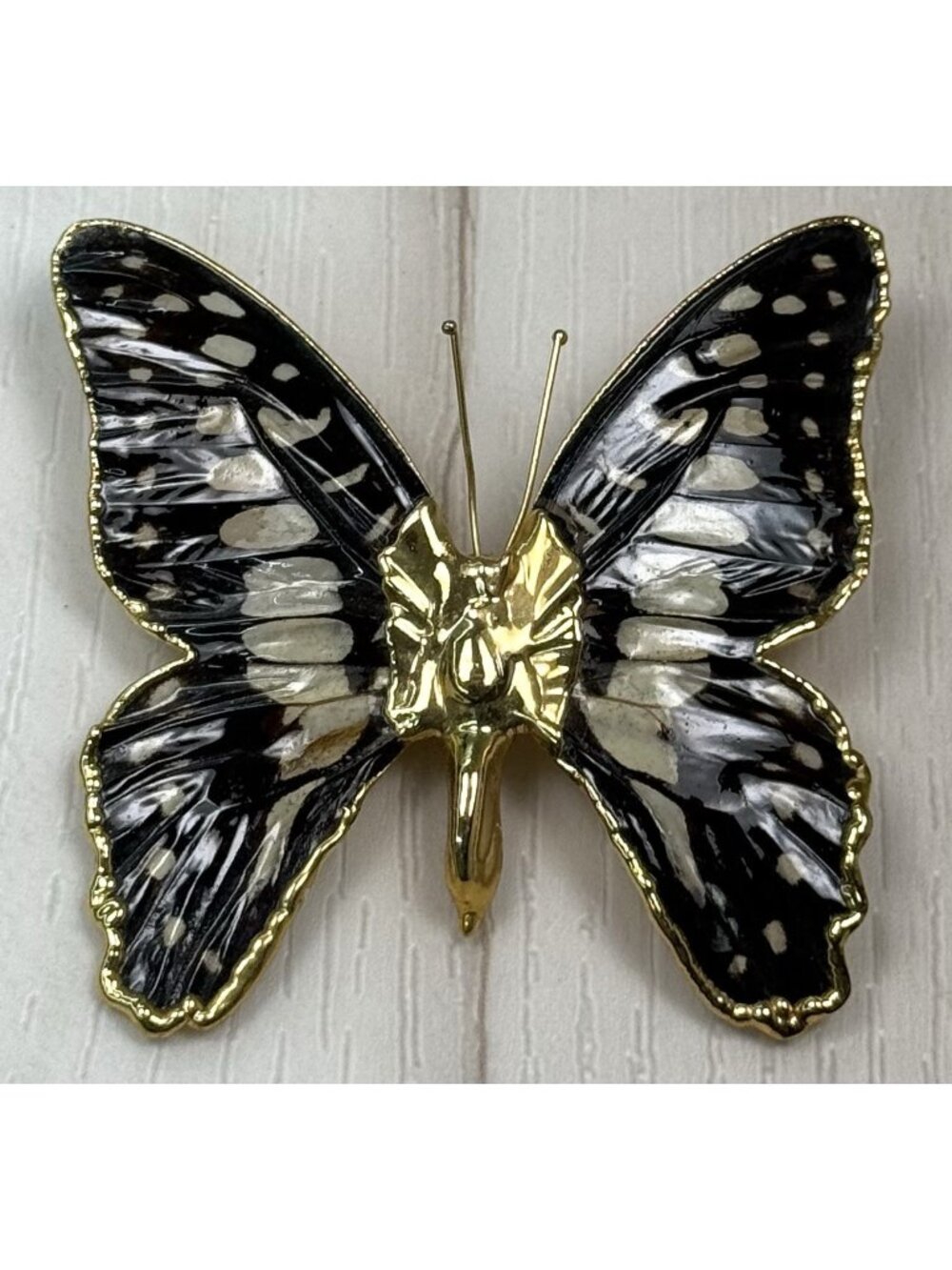 VTG 2.5" BROOCH Pendant Real Preserved Dipped BUTTERFLY w/ 10K Gold Trim EUC